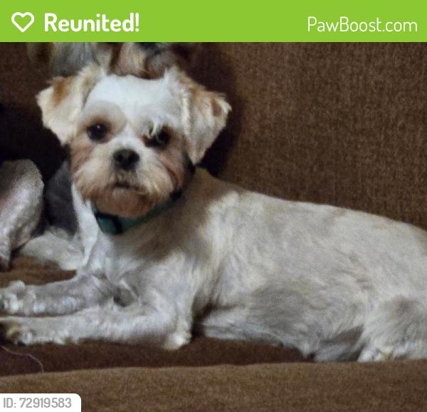 Reunited Female Dog last seen Near Gowen Rd, Manchester, TN 37355, USA, Manchester, TN 37355