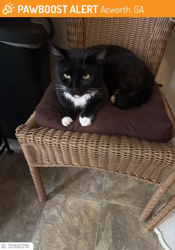 Found/Stray Female Cat last seen Mars Hill Rd and McClure Rd, Acworth, GA 30101