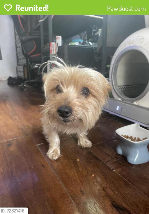 Reunited Female Dog last seen Ocean view Blv , San Diego, CA 92113