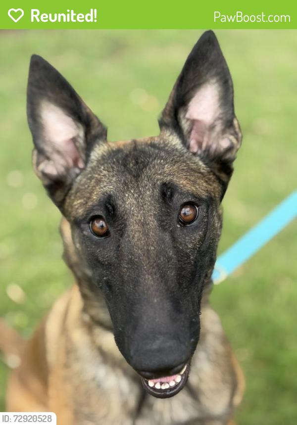 Reunited Female Dog last seen Walmart in Atascocita , Humble, TX 77346