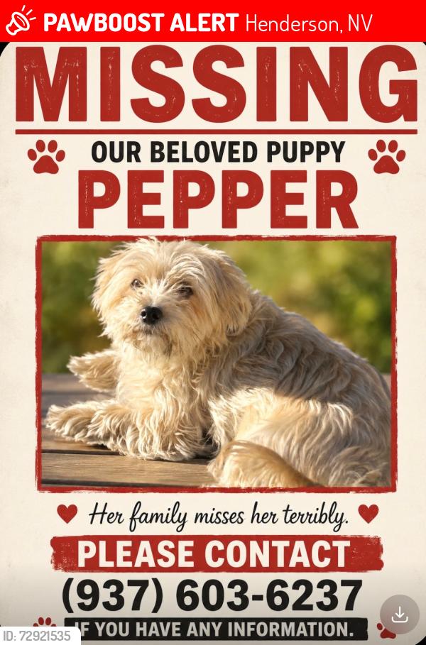 Lost Female Dog last seen Near Dominican Ave , Henderson, NV 89002