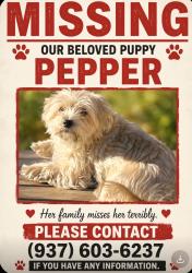 Lost Female Dog last seen Near Dominican Ave , Henderson, NV 89002