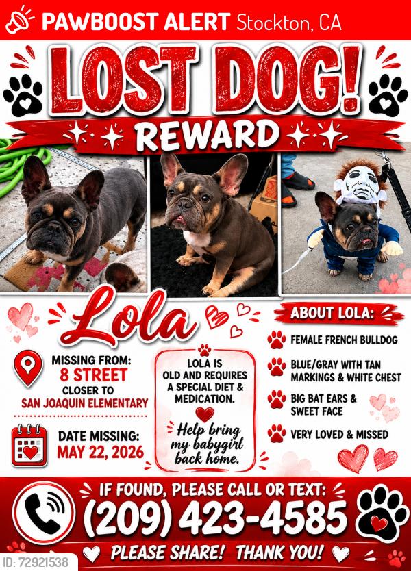 Lost Female Dog last seen 8th street and Fresno , Stockton, CA 95206