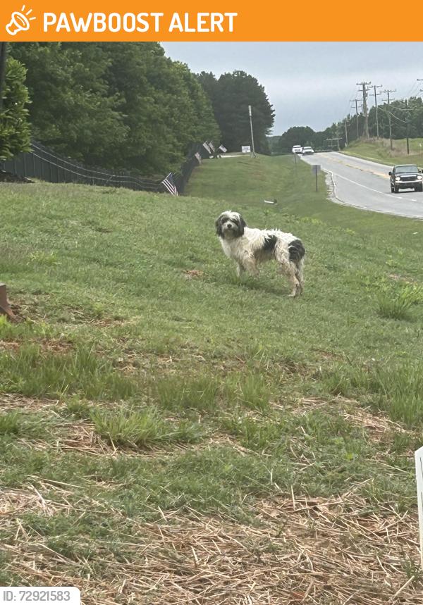 Found/Stray Unknown Dog last seen By First Quality, Anderson County, SC 29626