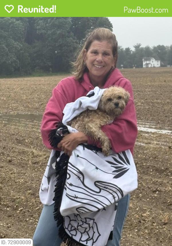 Reunited Female Dog last seen Big Oak Rd and Richard’s Rd, Bridgeton, NJ 08302