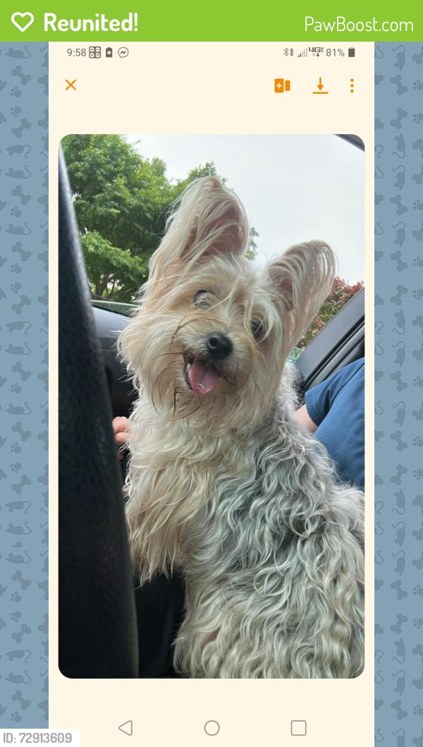 Reunited Unknown Dog last seen Grimes and hartford, Norfolk, VA 23518