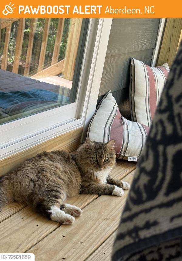 Found/Stray Female Cat last seen Legacy Lakes, Aberdeen, NC 28315