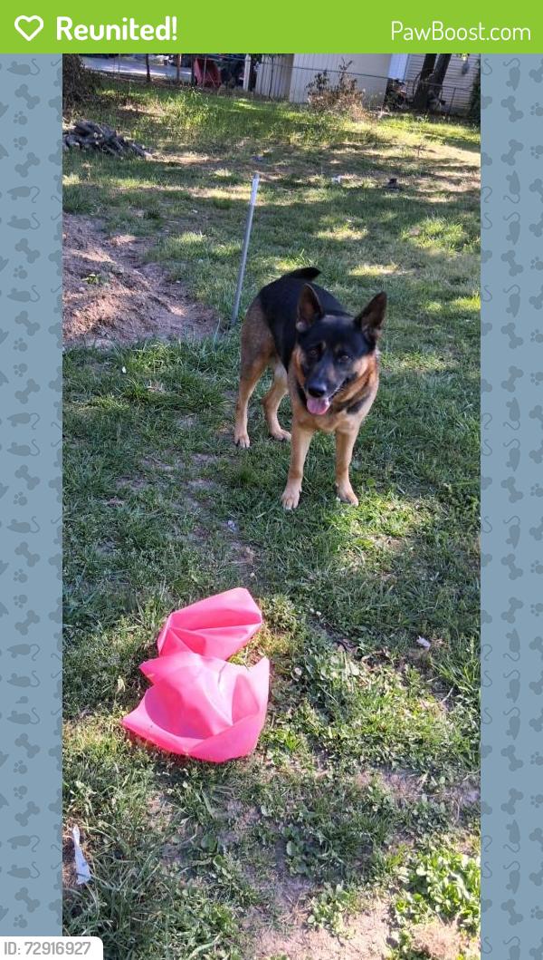 Reunited Male Dog last seen Near lowes food and golf course, Asheboro, NC 27205