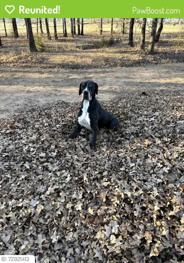 Reunited Male Dog last seen County road 700, cleburne, Cleburne, TX 76031