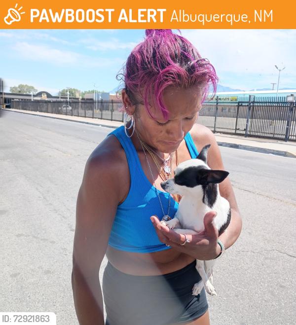Found/Stray Female Dog last seen Zuni and Trumbull Southeast, Albuquerque, NM 87108