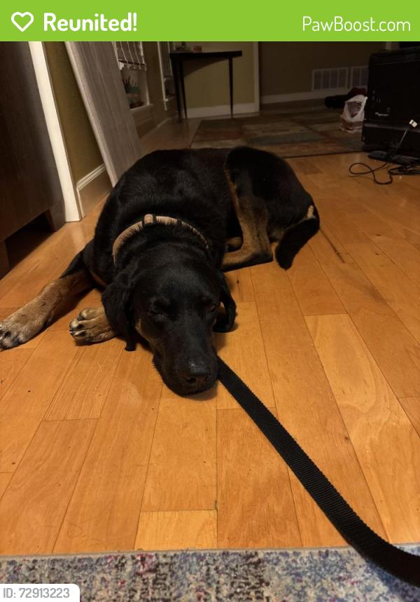 Reunited Female Dog last seen Park Forest, San Antonio, TX 78230