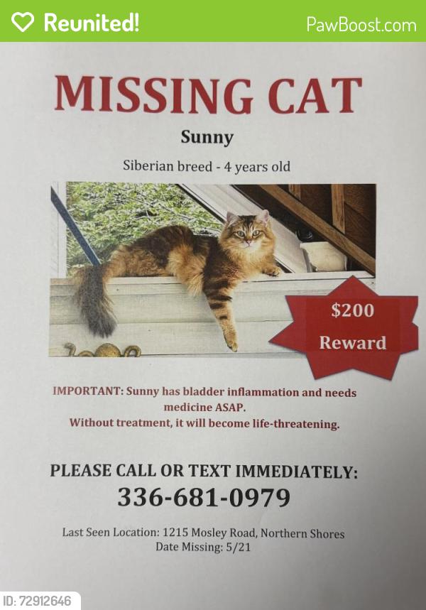 Reunited Male Cat last seen Near Mosley road/ northern shores lane , Greensboro, NC 27455
