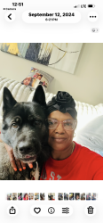 Reunited Female Dog last seen Long Rd, Canal Winchester, OH 43110