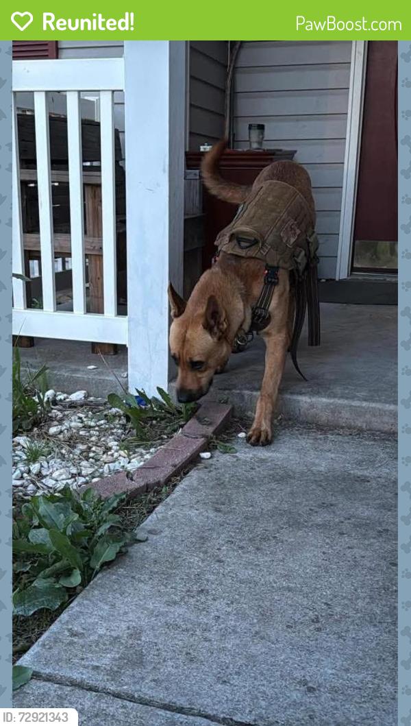 Reunited Male Dog last seen Near Snowberry Dr, Oklahoma City, OK 73165, USA, Oklahoma City, OK 73165