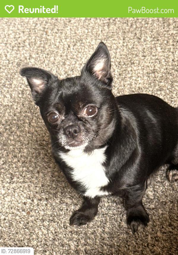 Reunited Male Dog last seen Wentworth st between 36th and Prairie , Grand Rapids, MI 49519