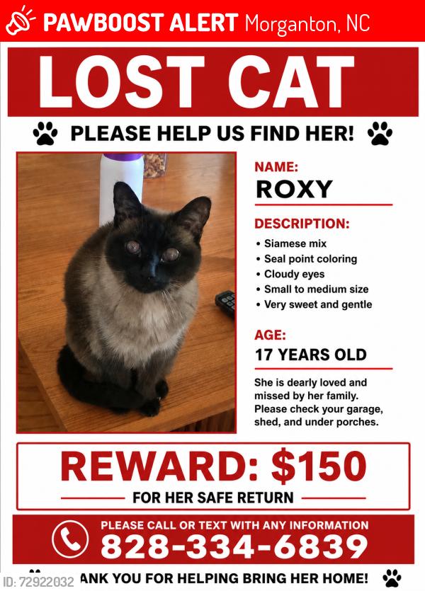 Lost Female Cat last seen Broughton hosp , Morganton, NC 28655