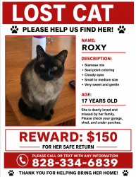 Lost Female Cat last seen Broughton hosp , Morganton, NC 28655