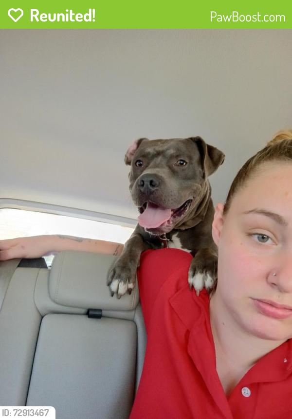 Reunited Male Dog last seen Butler , Adrian, MI 49221