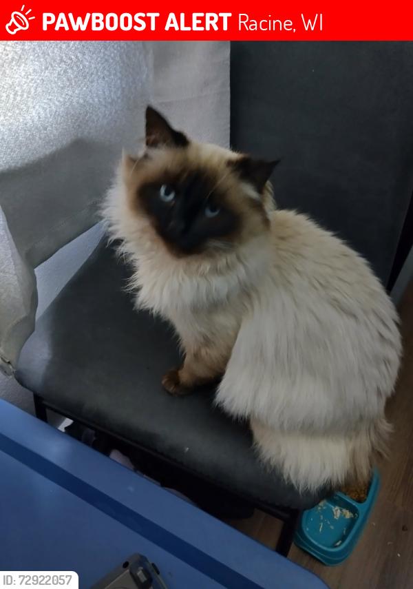 Lost Male Cat last seen Charles , Racine, WI 53402