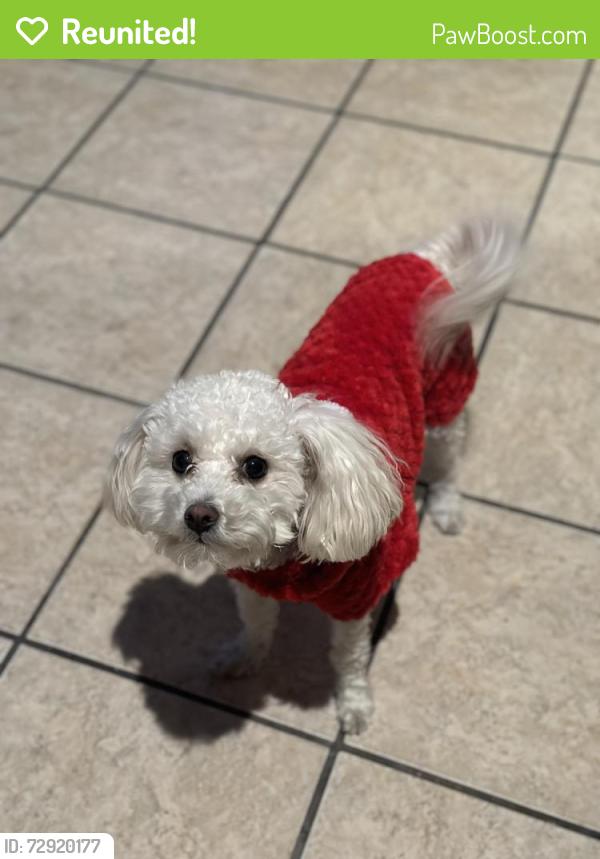 Reunited Female Dog last seen Pacific st / Perris Hill rd, San Bernardino, CA 92404
