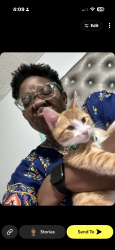 Lost Male Cat last seen NW 87th St & Western Ave, Oklahoma City, OK 73114