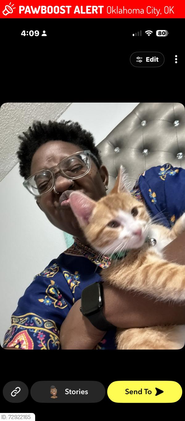 Lost Male Cat last seen NW 87th St & Western Ave, Oklahoma City, OK 73114