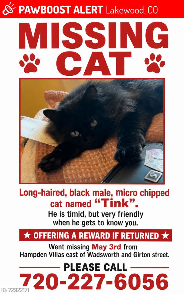 Lost Male Cat last seen Hampden and wadsworth, Lakewood, CO 80227