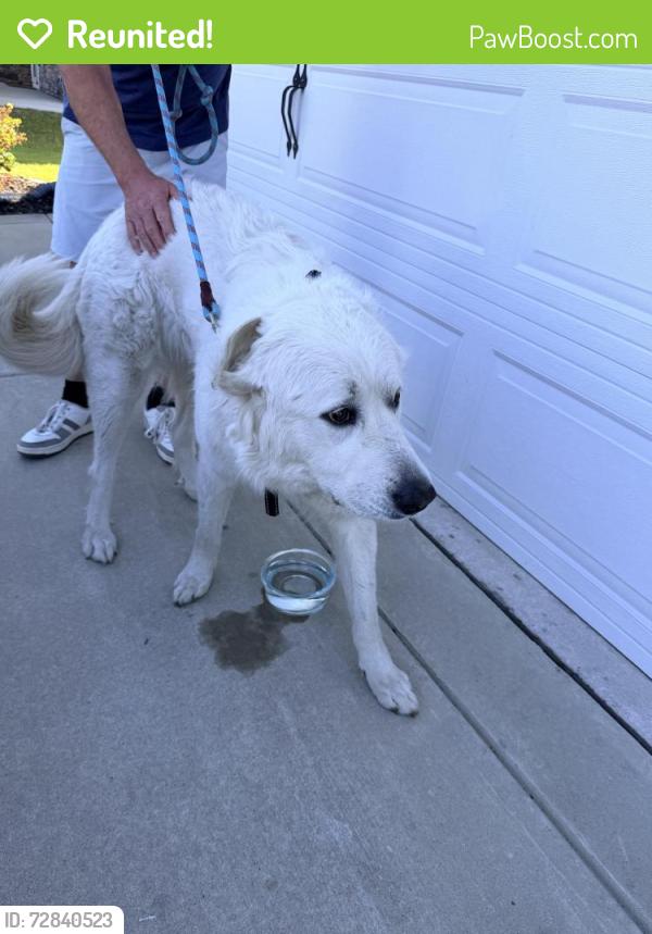 Reunited Unknown Dog last seen Murrayville , Wilmington, NC 28411
