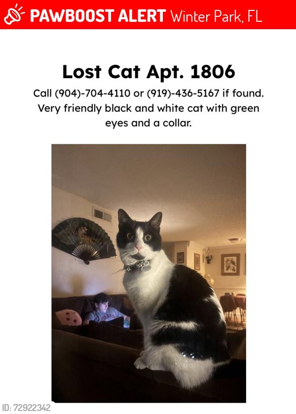 Lost Male Cat last seen Semoran Blvd, Winter Park, FL 32792