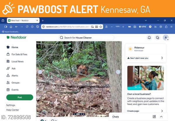 Found/Stray Unknown Dog last seen Ridenour Pkwy, Ridenour Blvd., Kennesaw, GA 30152