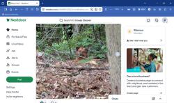 Found/Stray Unknown Dog last seen Ridenour Pkwy, Ridenour Blvd., Kennesaw, GA 30152