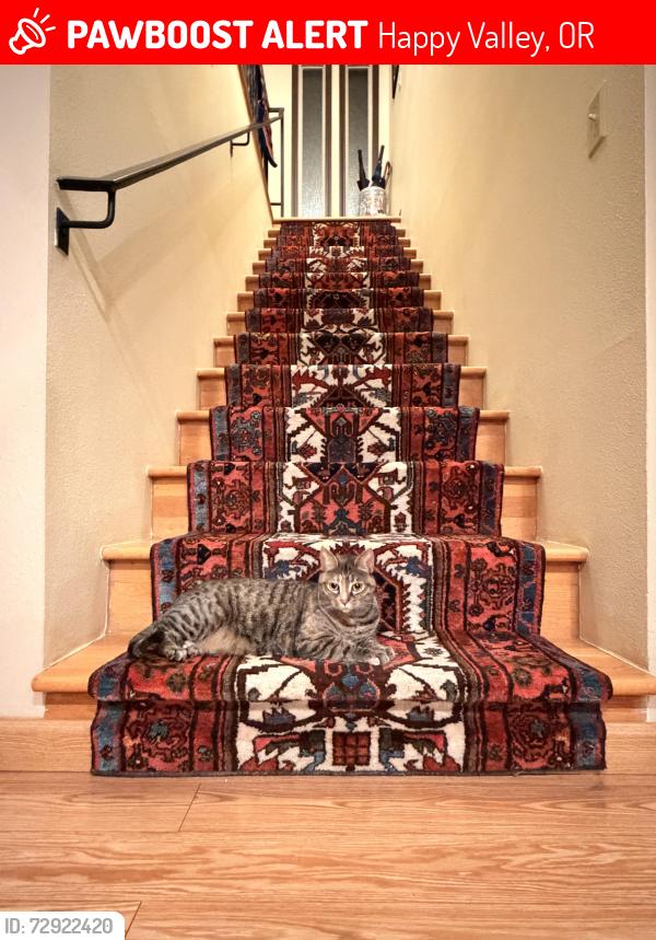 Lost Female Cat last seen Near SE Azar Drive Happy Valley OR 97086, Happy Valley, OR 97086