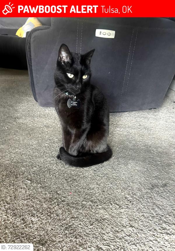Lost Male Cat last seen 71st and Sheridan, Tulsa, OK 74133