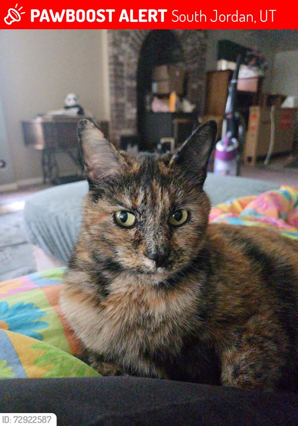 Lost Female Cat last seen The district in South Jordan. UT, South Jordan, UT 84095