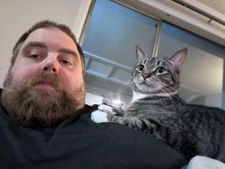 Reunited Male Cat last seen Northtree and McLeod , Keizer, OR 97303