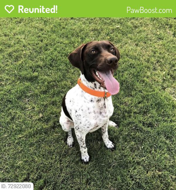 Reunited Female Dog last seen Old Settlers Blvd and Redbud, Round Rock, TX 78665
