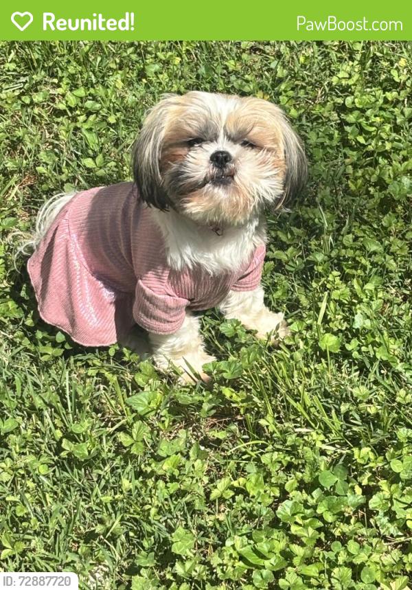 Reunited Female Dog last seen Woodcrest apmts , Lenoir, NC 28645