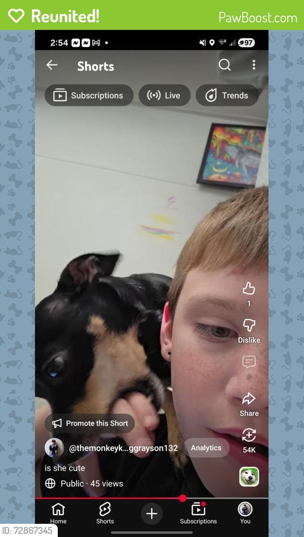 Reunited Female Dog last seen Stoneybrooke, Greeley, CO 80631