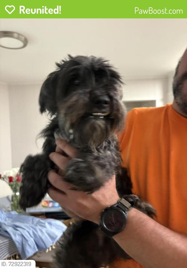 Reunited Male Dog last seen Chisholm Trail and Stagecoach, Pantego, TX 76013