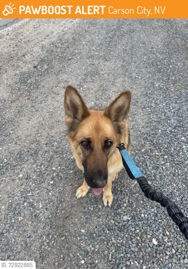 Found/Stray Unknown Dog last seen S edmonds , Carson City, NV 89701