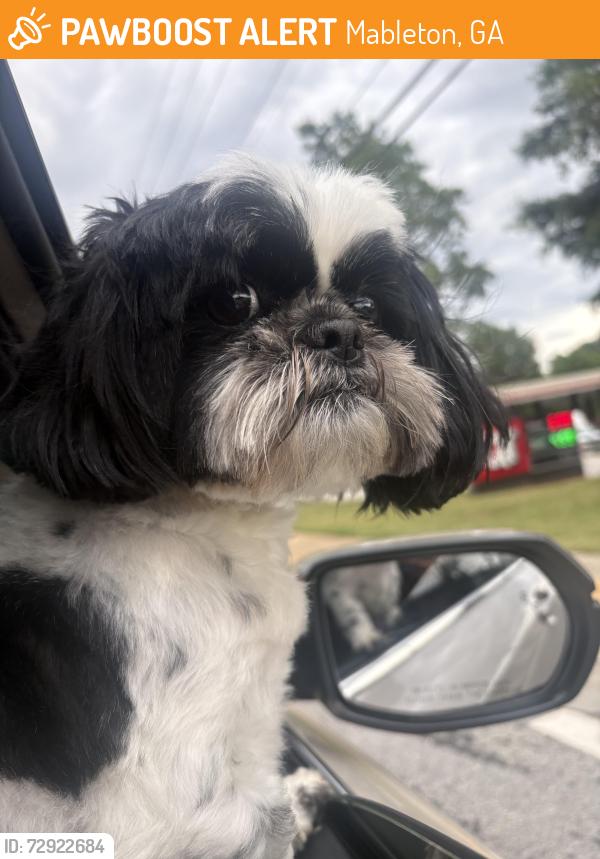 Found/Stray Female Dog last seen Popeyes by mableton Parkway, Mableton, GA 30126