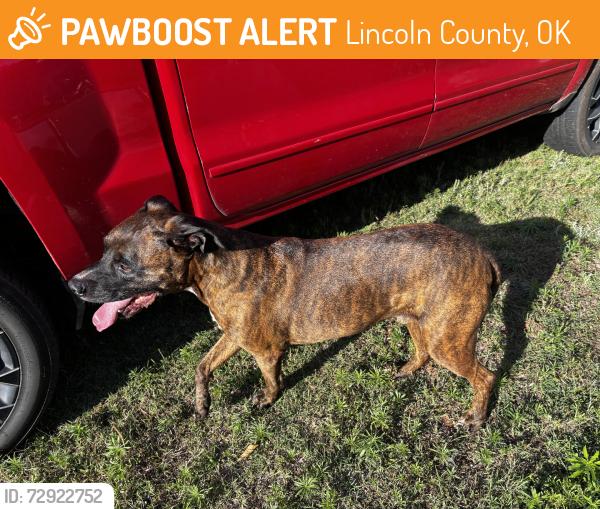Found/Stray Male Dog last seen Near rd harrah, Lincoln County, OK 73045