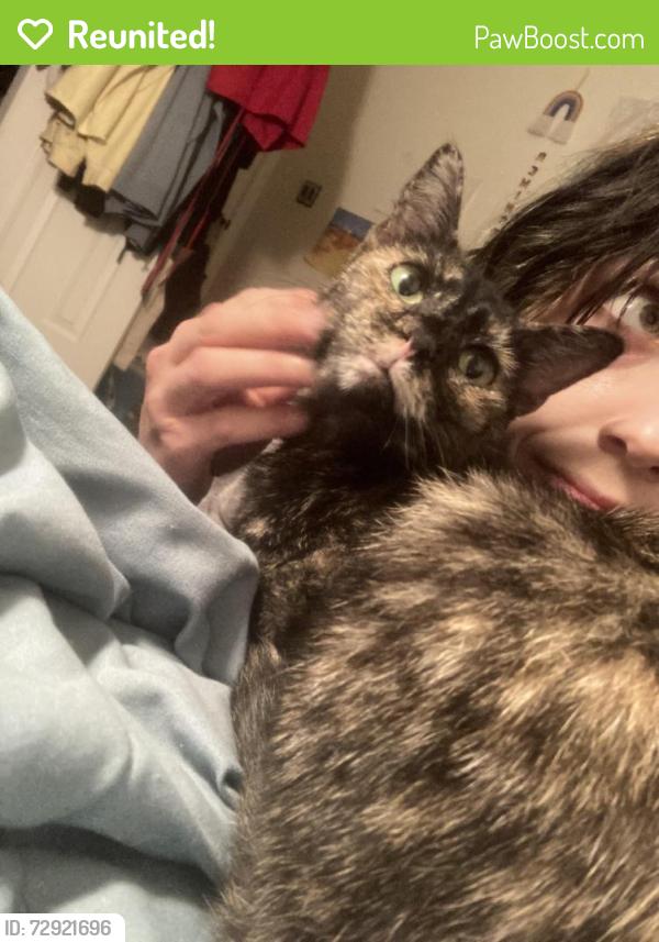 Reunited Female Cat last seen Hightower and Meadowbrook Drive (kinda near the library&goodwill&starnes), Watauga, TX 76148