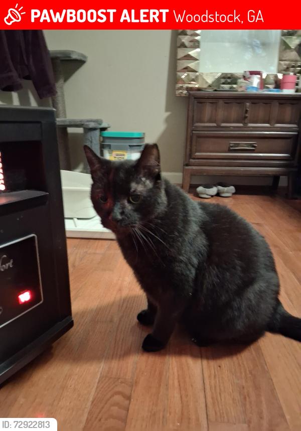 Lost Male Cat last seen Main St & Dupree, Woodstock, GA 30188