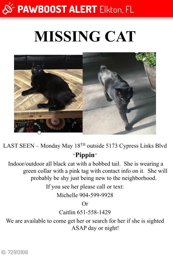 Lost Female Cat last seen Cypress Lakes community south loop, Elkton, FL 32033