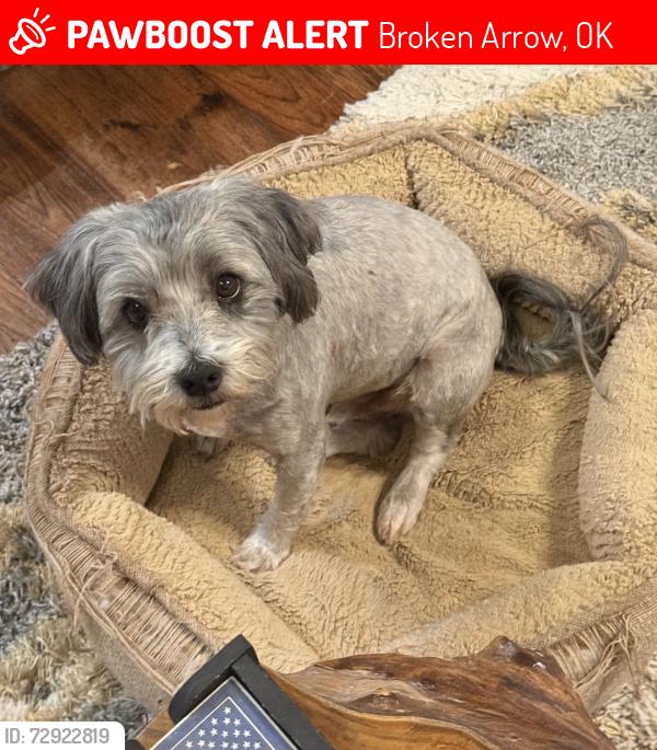 Lost Male Dog last seen Near S 250th East Ave, Broken Arrow, OK 74014