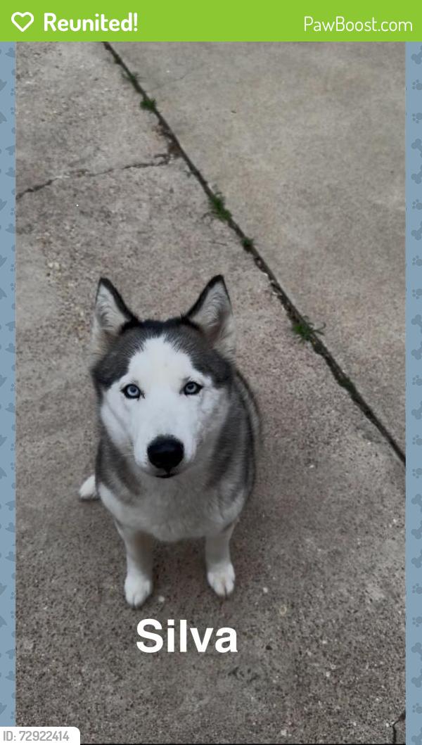 Reunited Female Dog last seen Cooper, Washington, Arlington, TX 76011