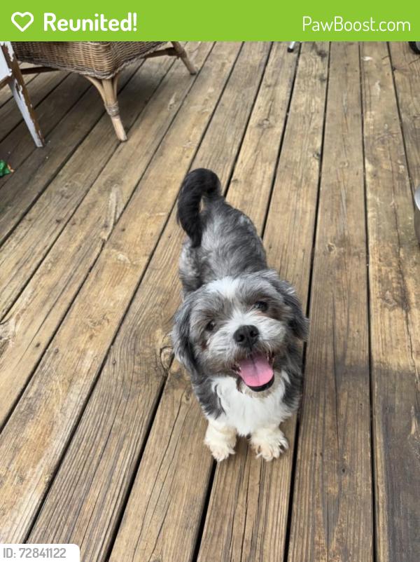 Reunited Male Dog last seen Airport Road, Maiden, NC 28650