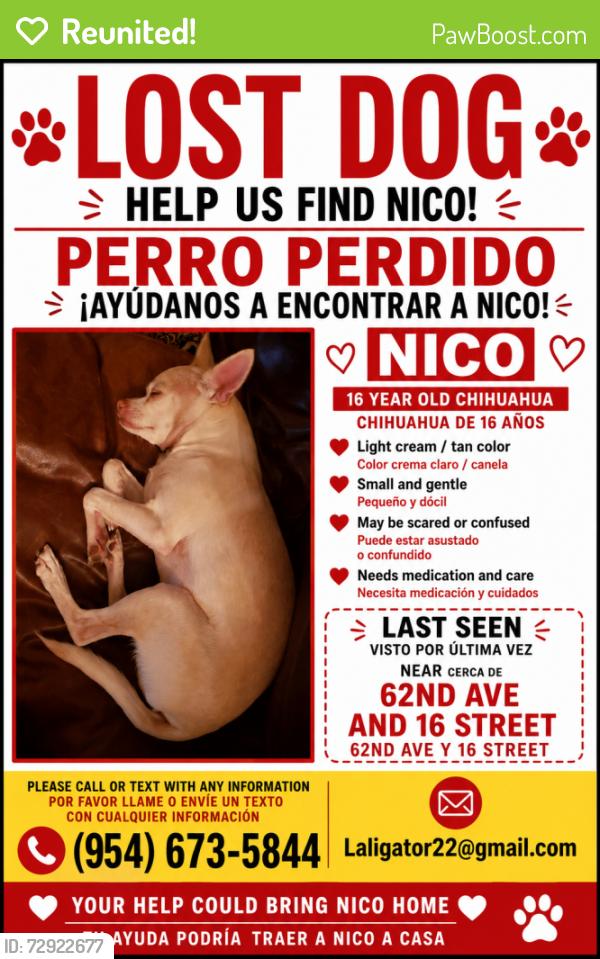 Reunited Male Dog last seen Sw 16 st  and sw 62 ave, Miami, FL 33155