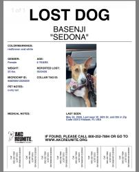 Reunited Female Dog last seen Hialeah, FL, Hialeah, FL 33012